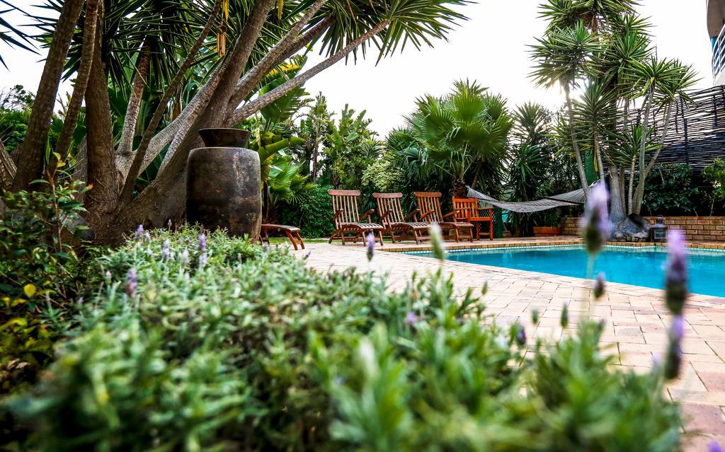 Secret Garden Guesthouse Bloubergstrand Zewnętrze zdjęcie